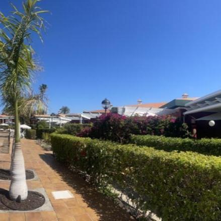 Bungalow Verdemar Maspalomas Maspalomas  Dış mekan fotoğraf